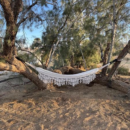 Casa Agave: Comfy Joshua Tree Cottage With Free Breakfast Bar Екстер'єр фото
