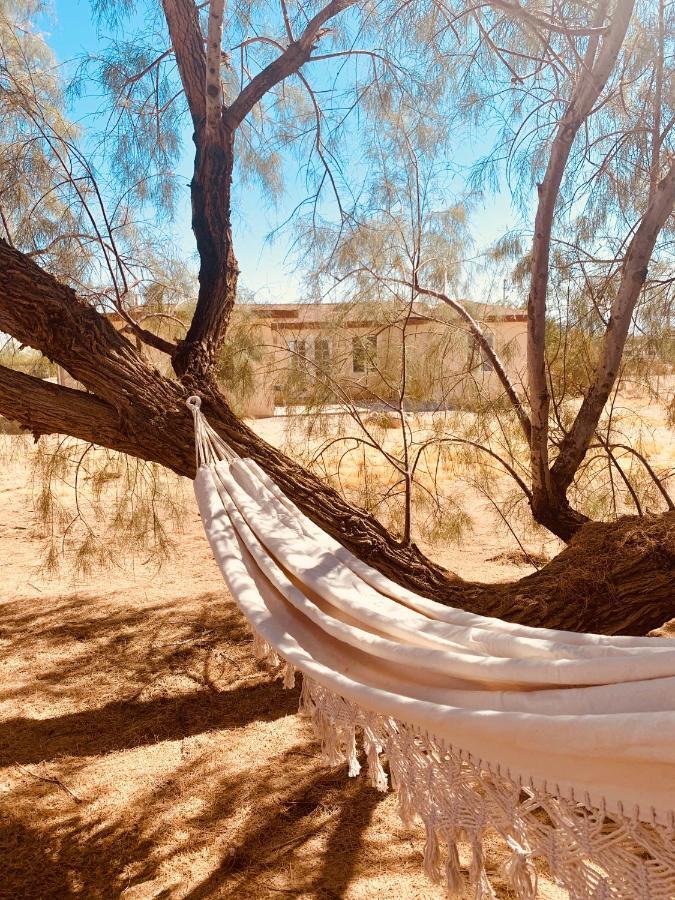 Casa Agave: Comfy Joshua Tree Cottage With Free Breakfast Bar Екстер'єр фото