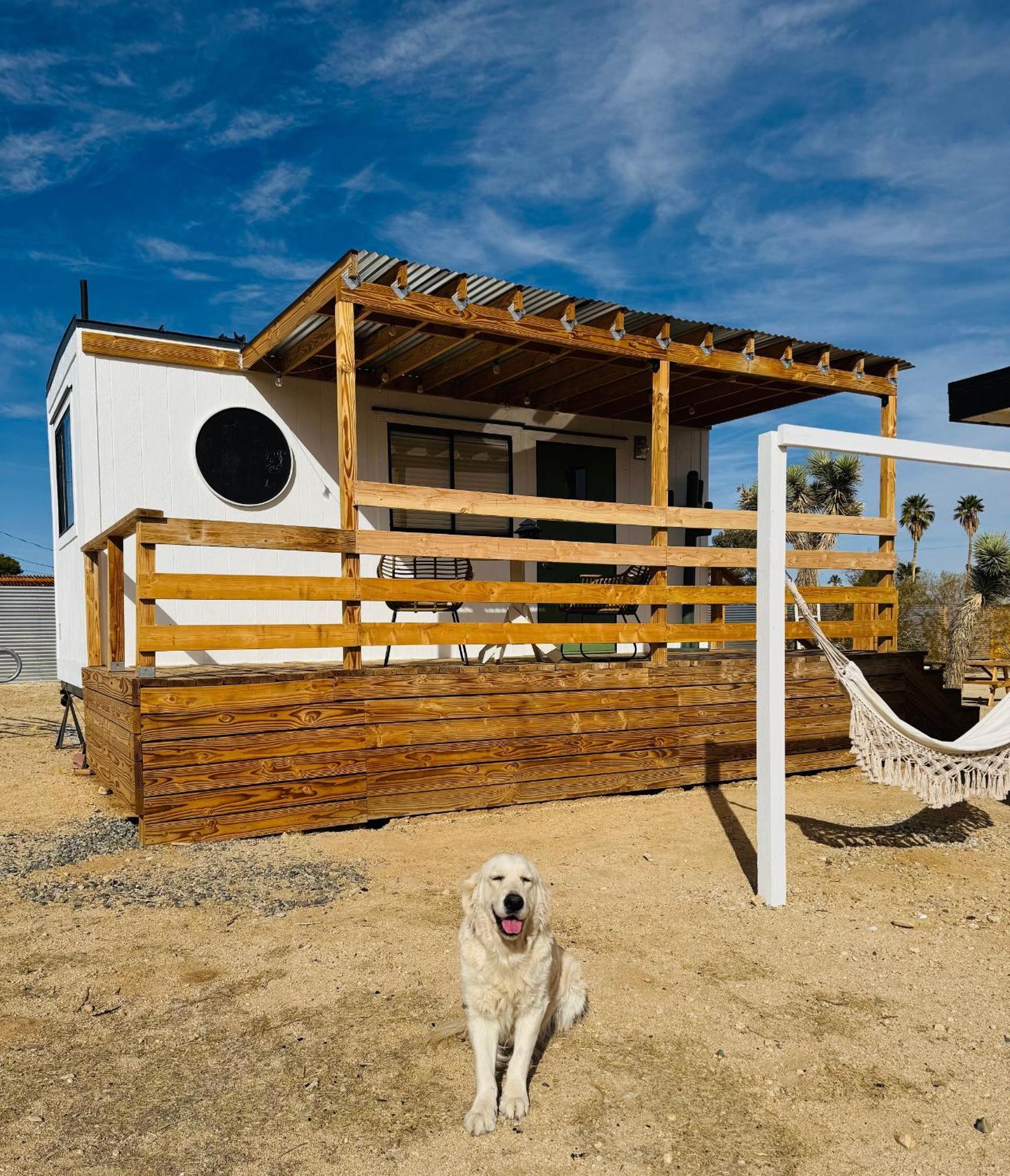 Casa Agave: Comfy Joshua Tree Cottage With Free Breakfast Bar Екстер'єр фото